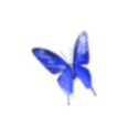 Butterfly 4